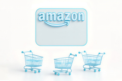 Amazon PPC Portfolio